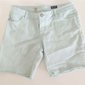 Volcolm Mint Blue Bermuda Sho